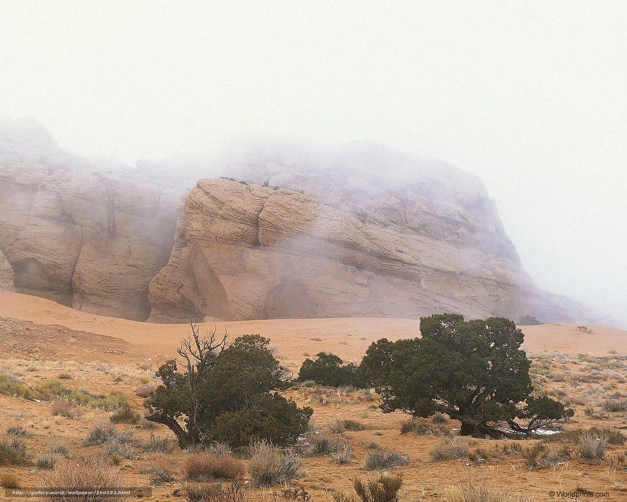 Misty desert rock formation
