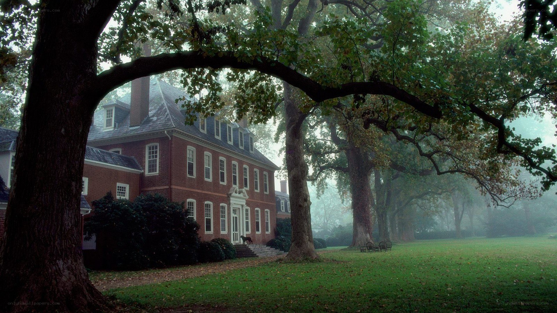 Misty estate with brick house