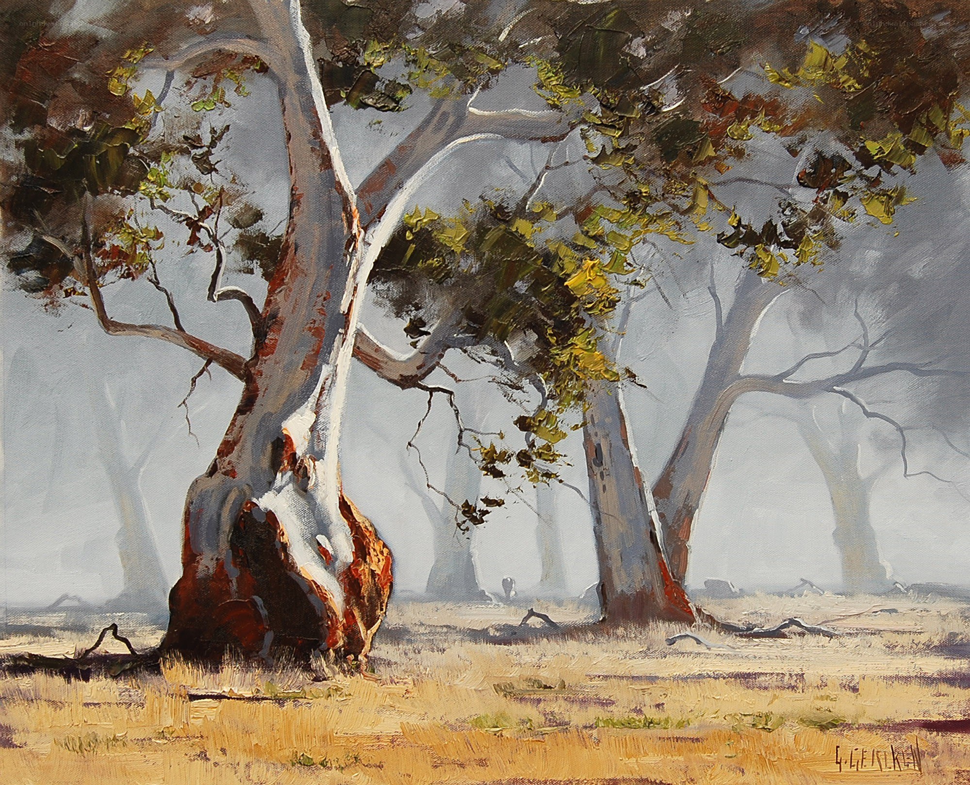 Misty Eucalyptus Trees