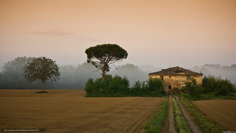 Misty farm at dawn