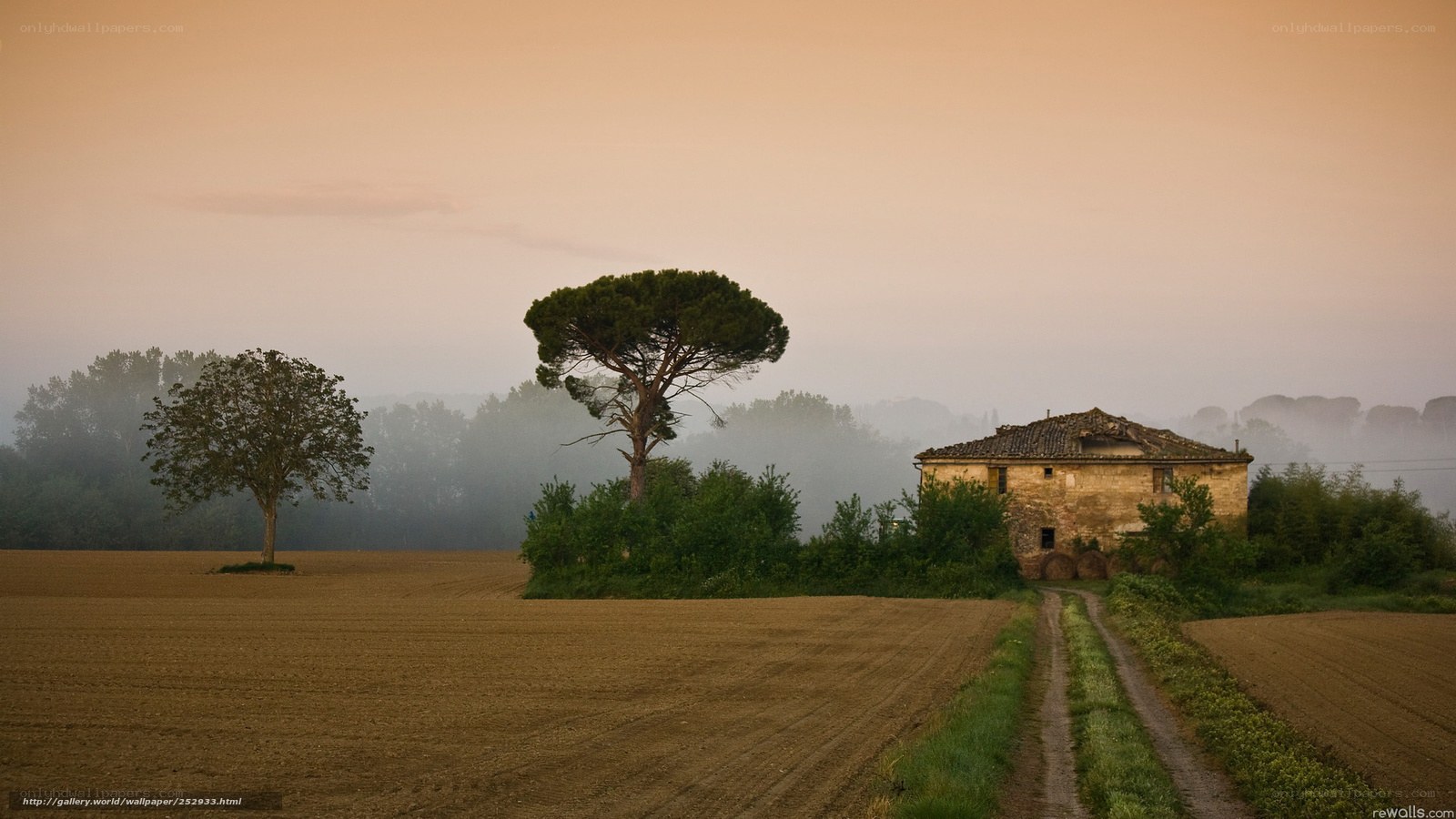 Misty farm at dawn