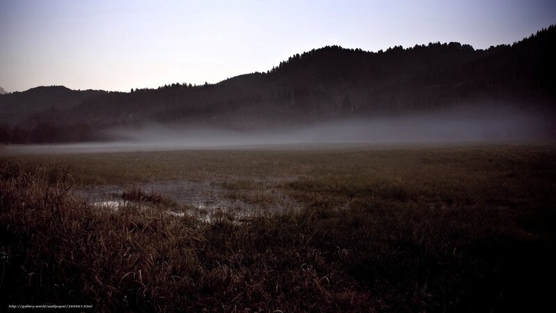 Misty Field at Dawn — Gray