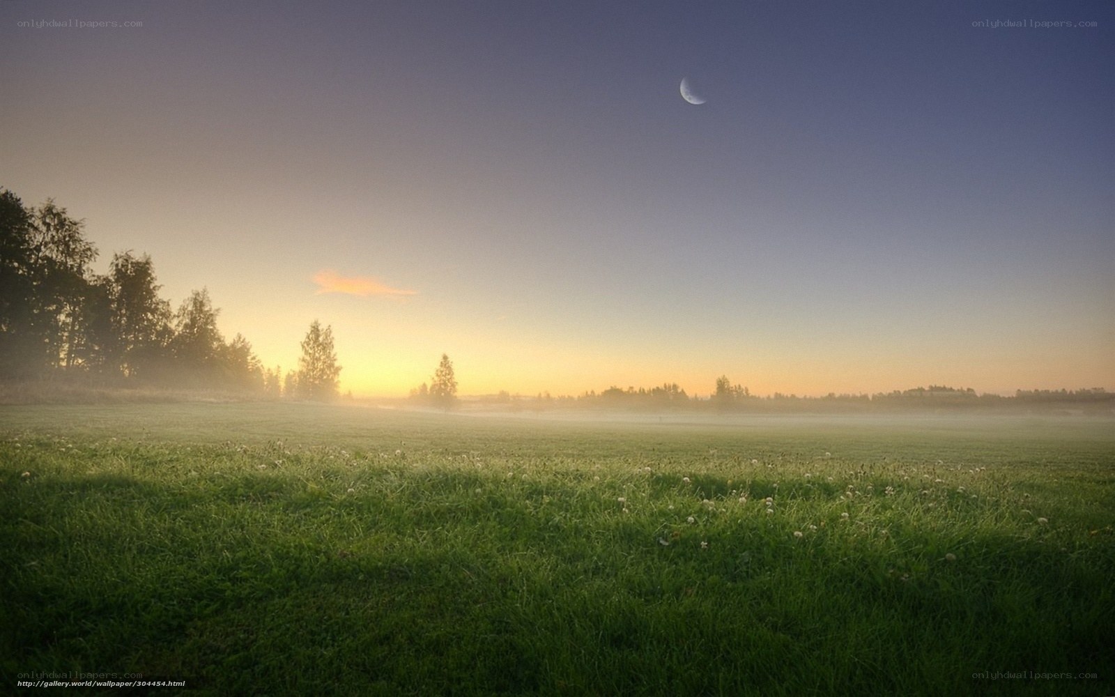 Misty field at dawn with moon