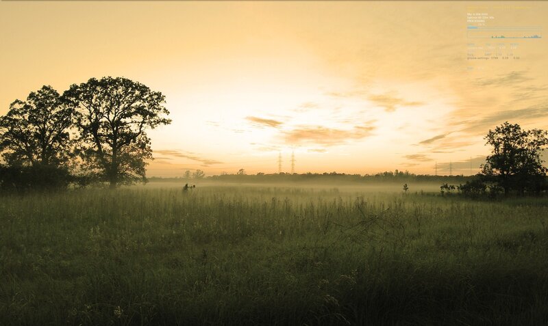 Misty field at sunrise