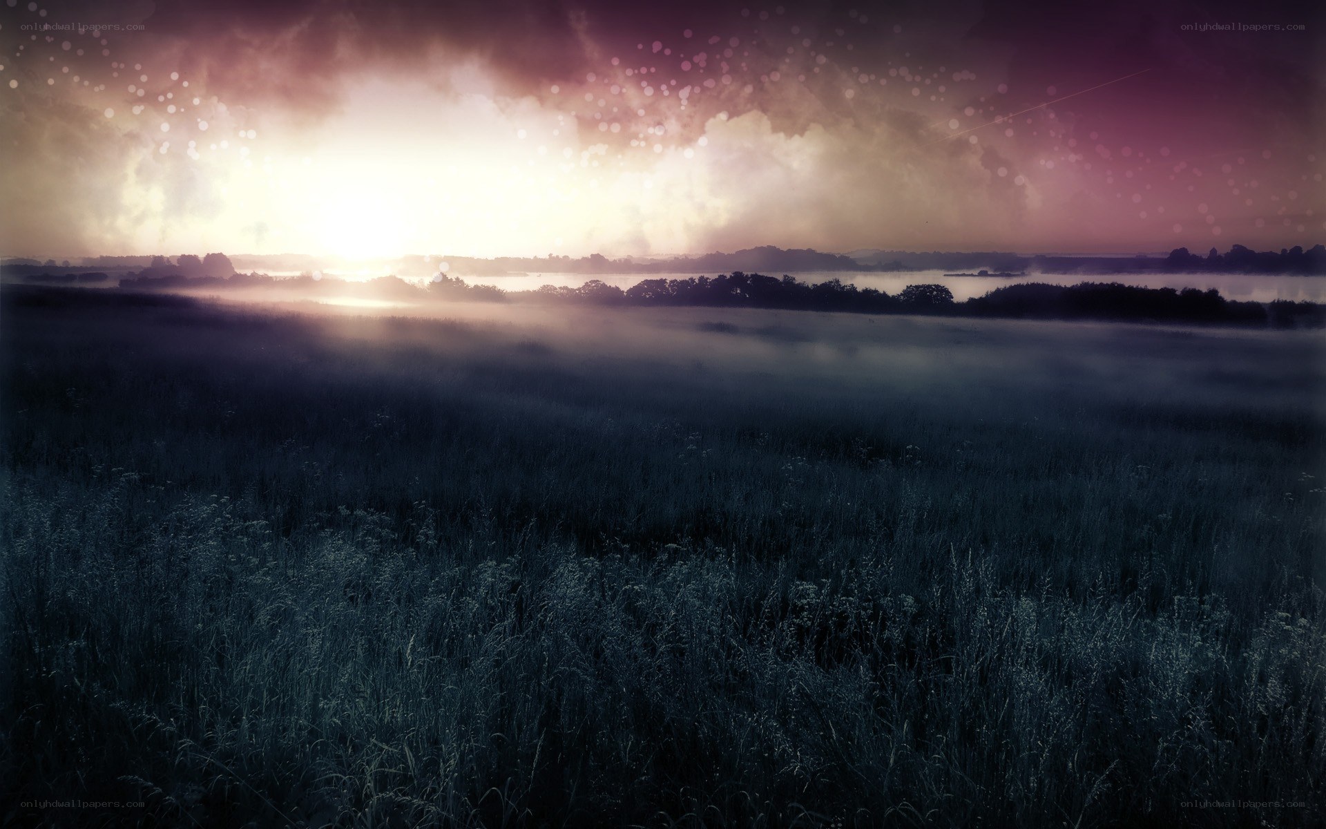 Misty field at sunrise