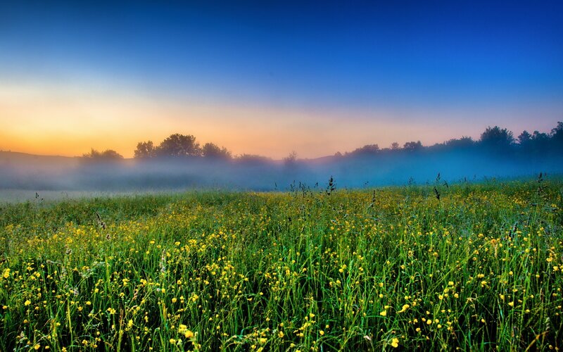 Misty field at sunrise