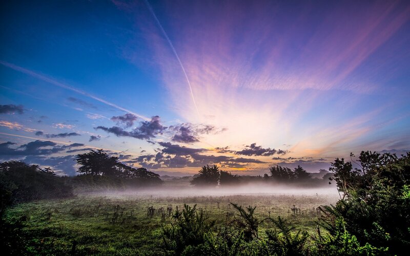Misty Field at Sunrise — Blue, Serene