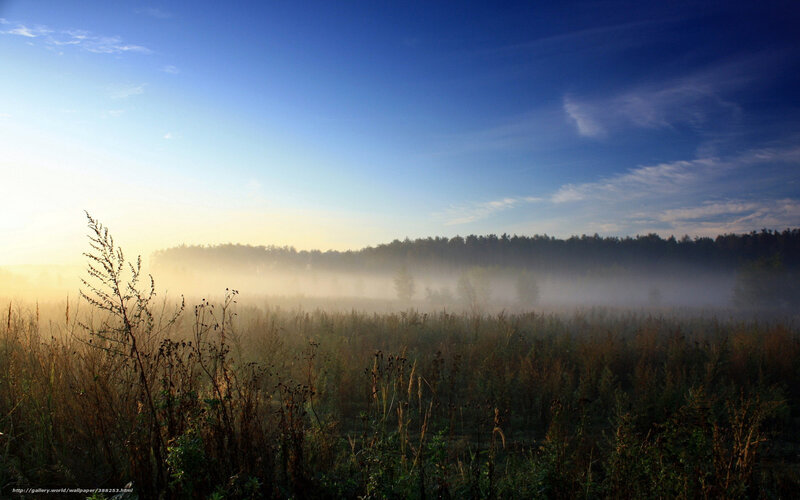 Misty Field at Sunrise — Blue