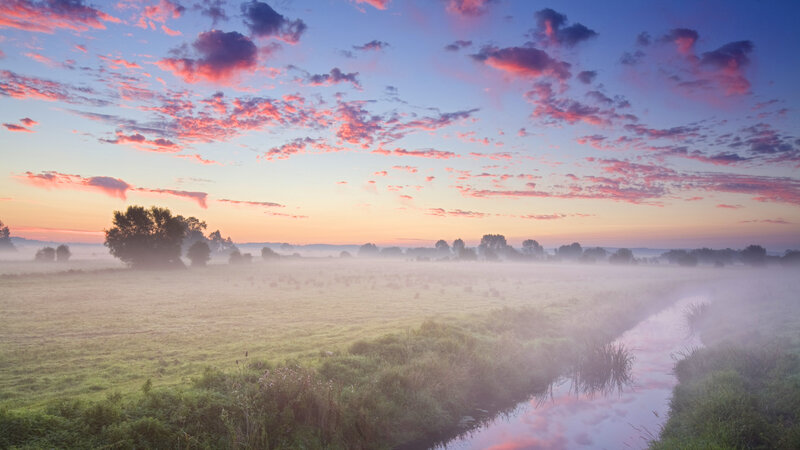 Misty Field at Sunrise — Pink