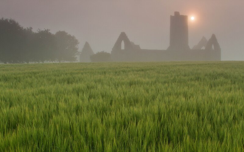 Misty field with ruins at sunrise