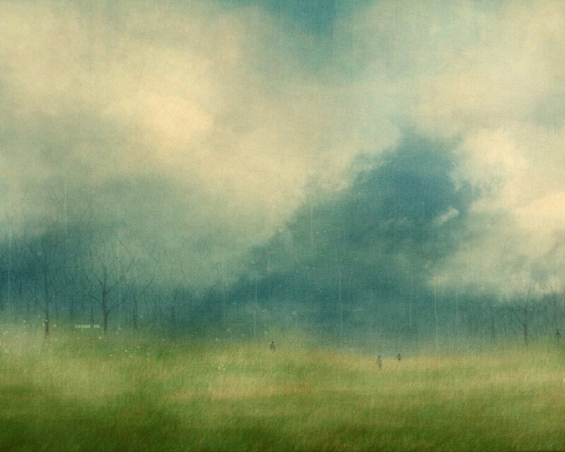 Misty field with silhouettes