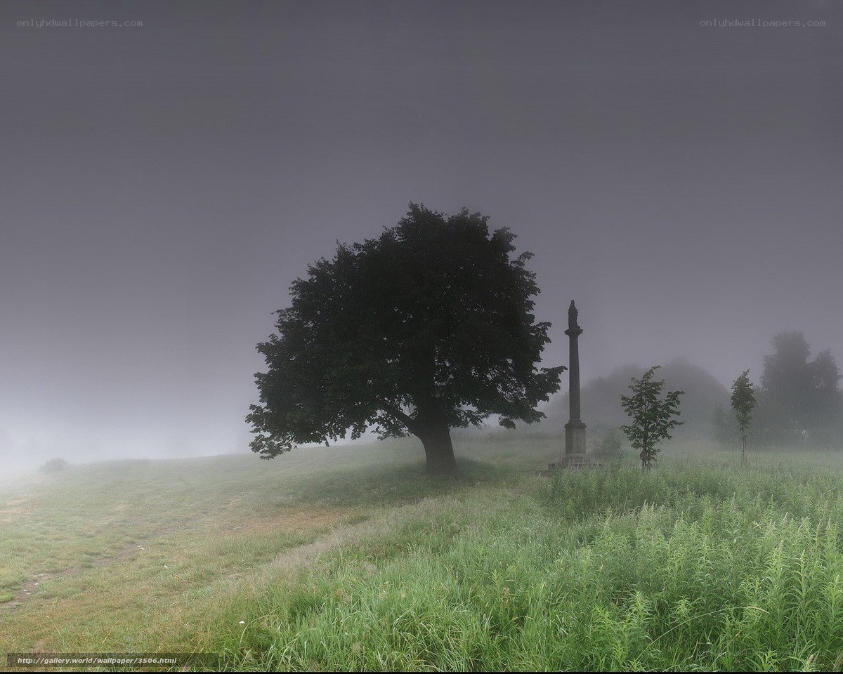 Misty field with tree and monument