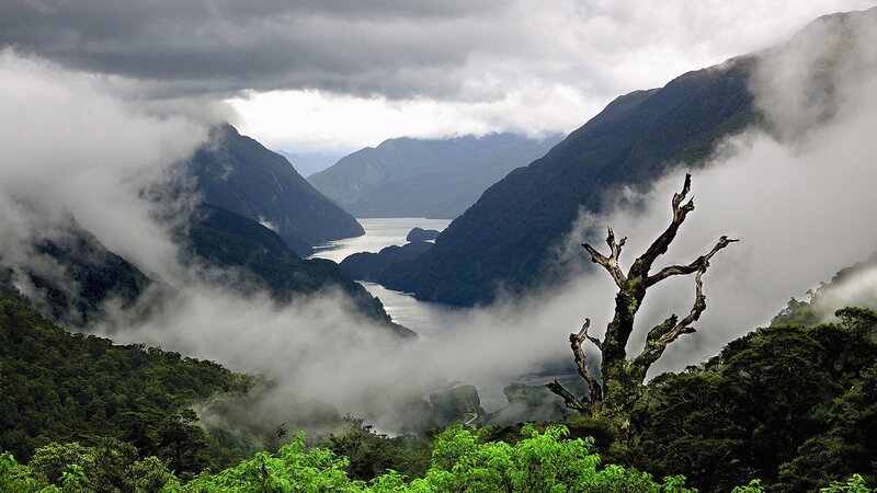 Misty fjord landscape