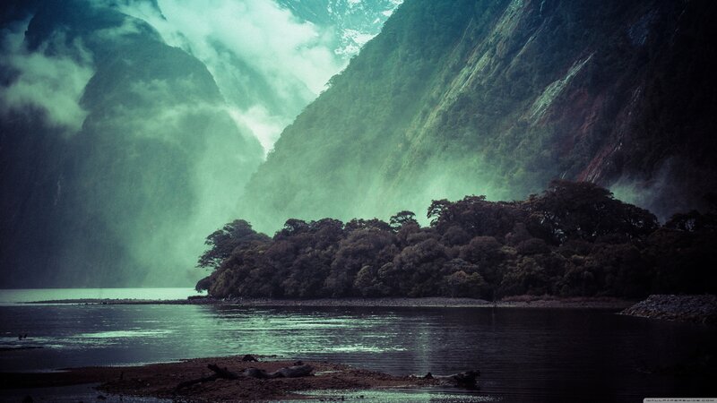 Misty fjord with forested island
