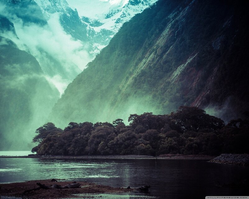 Misty fjord with forested island