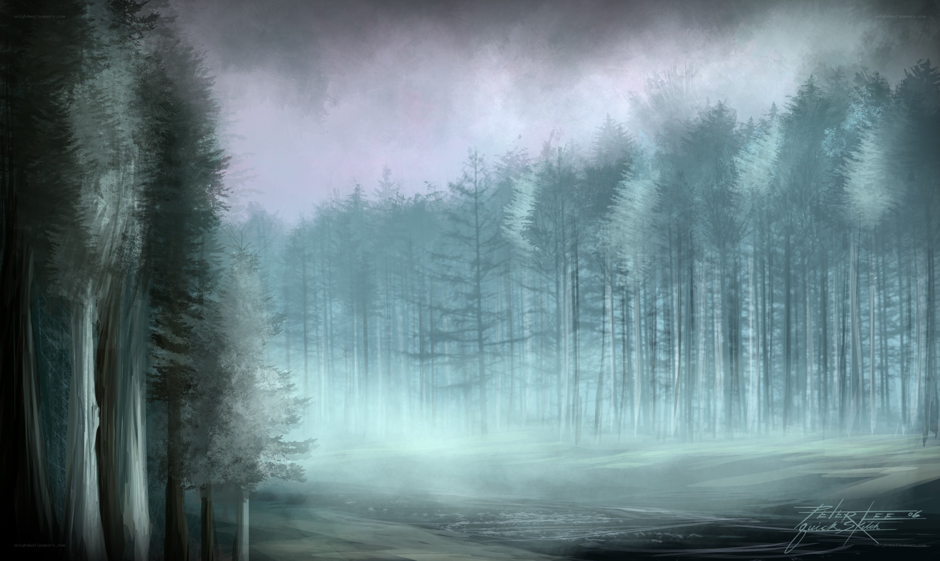 Misty forest at dawn