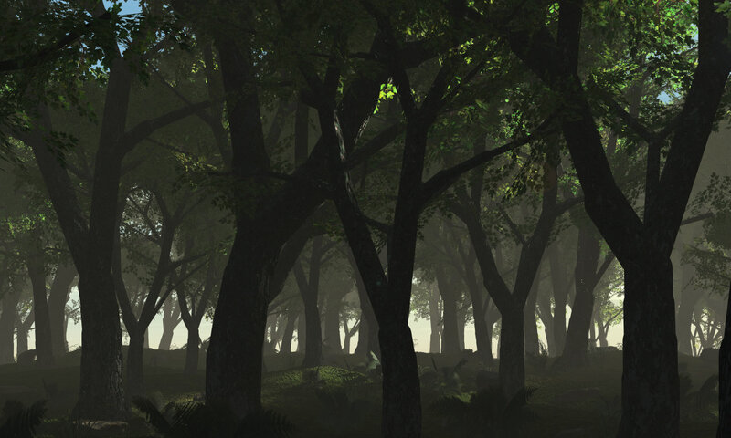 Misty forest at dawn