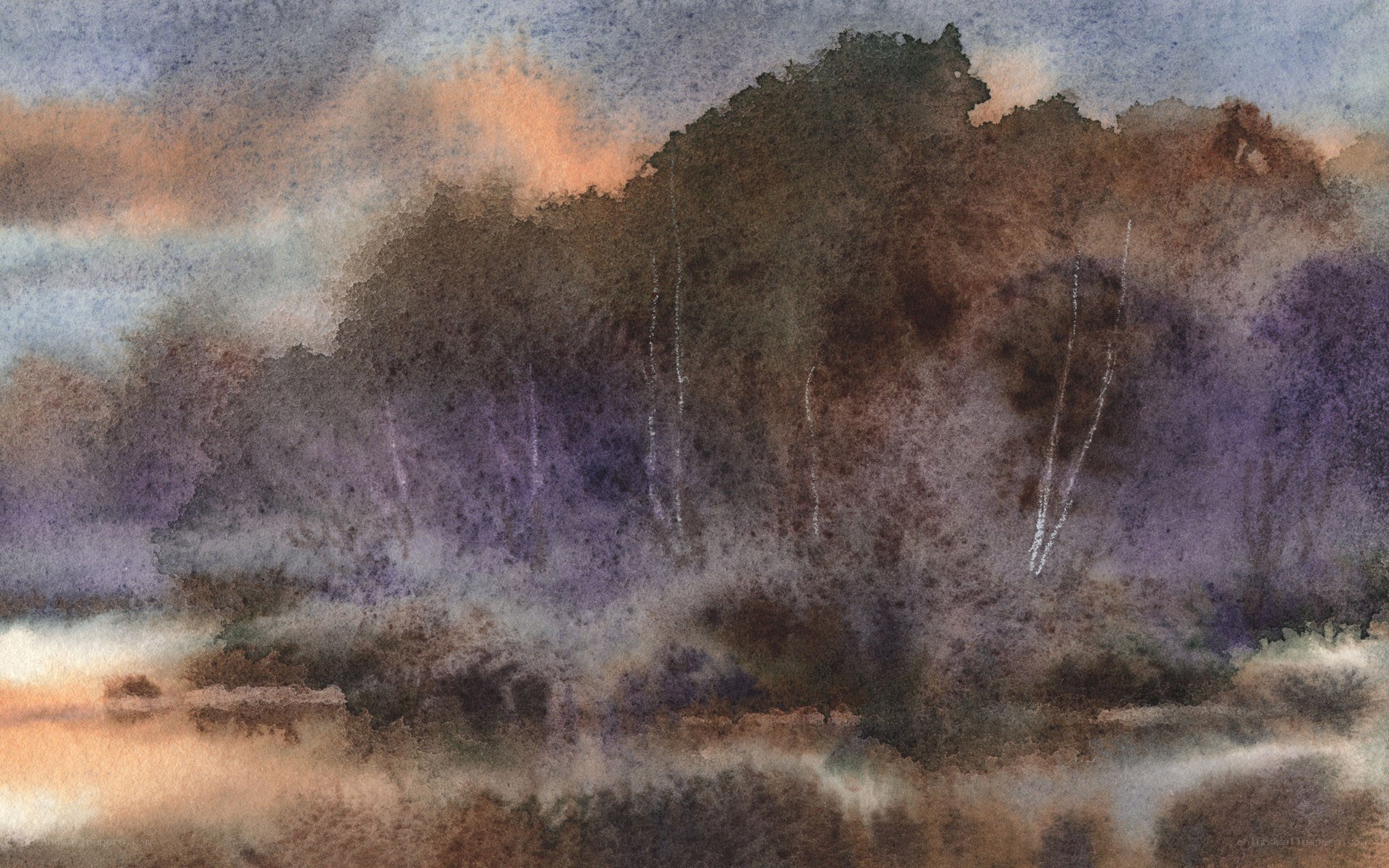 Misty forest at dawn