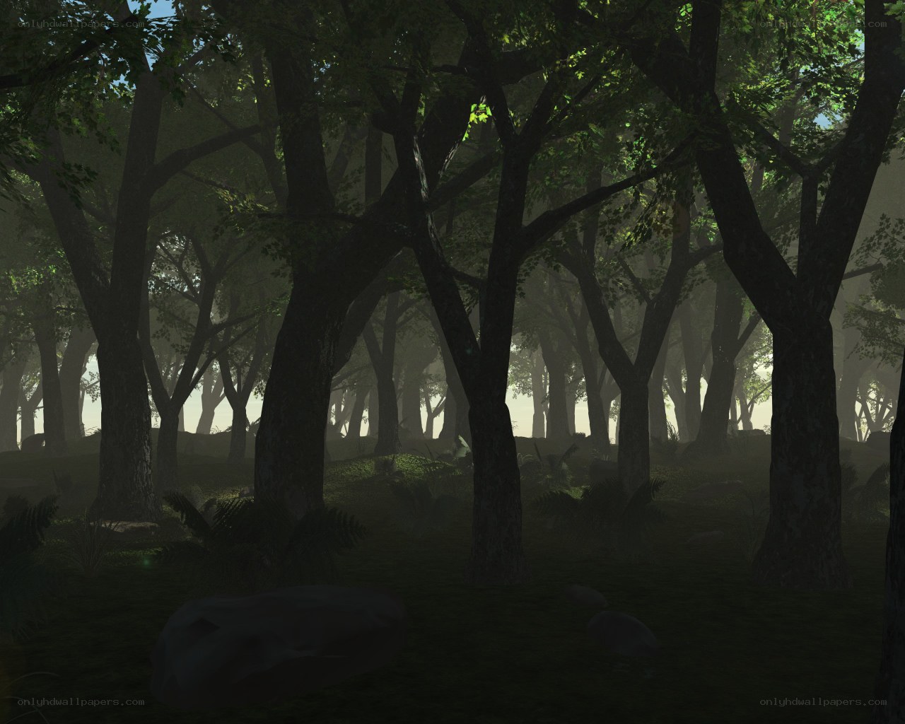 Misty forest at dawn