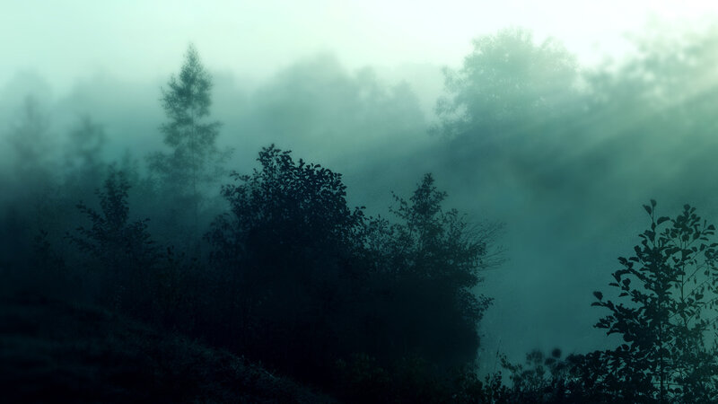 Misty forest at dawn