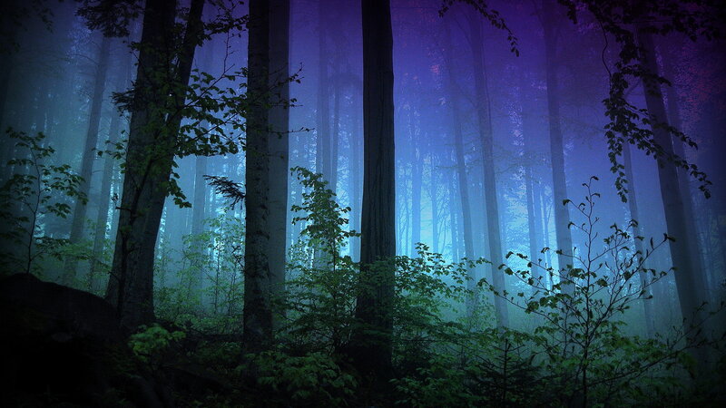 Misty Forest at Night — Purple, Mysterious