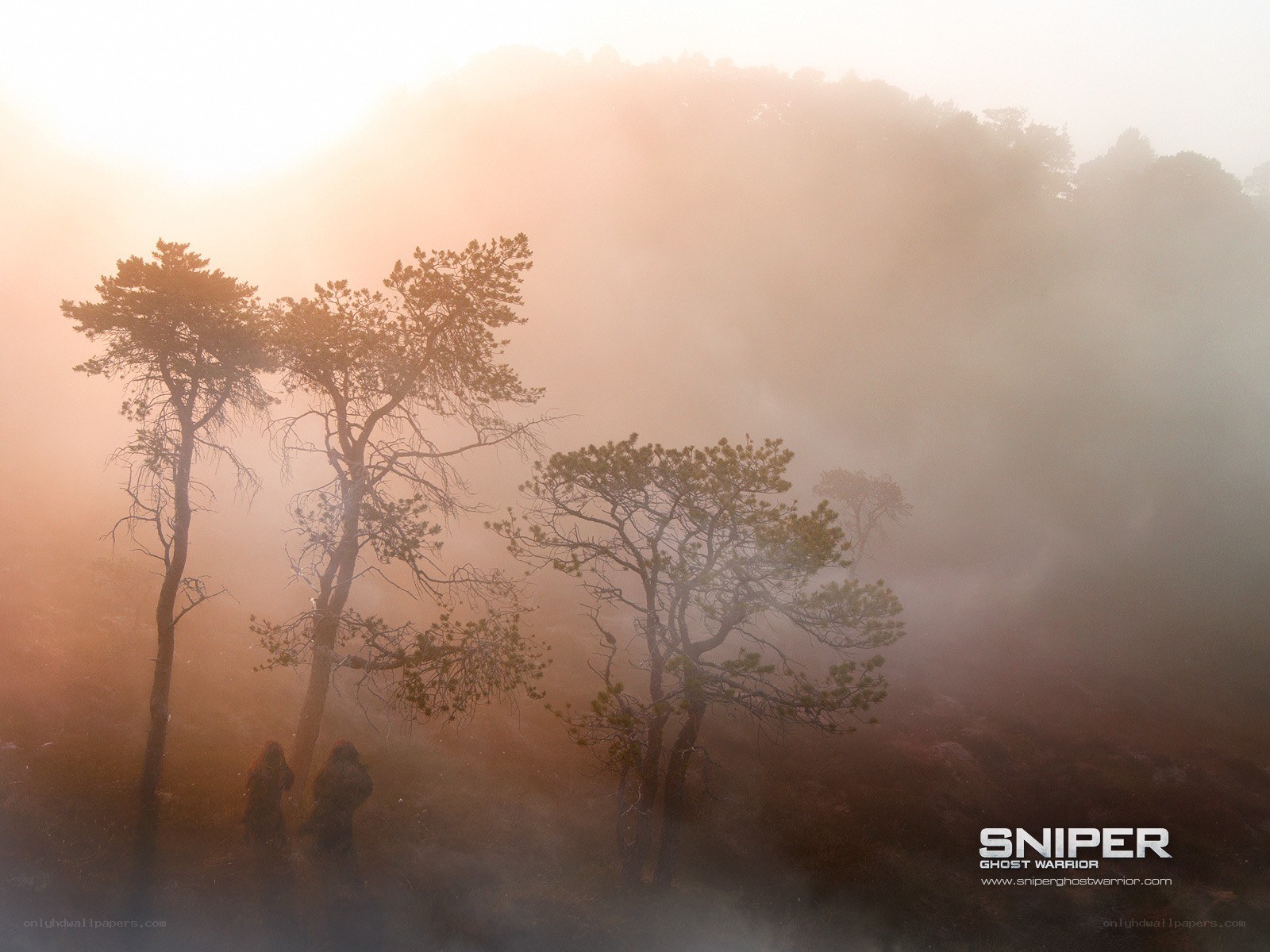 Misty forest at sunrise