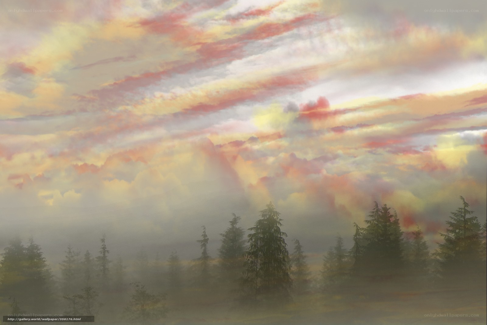 Misty forest at sunrise