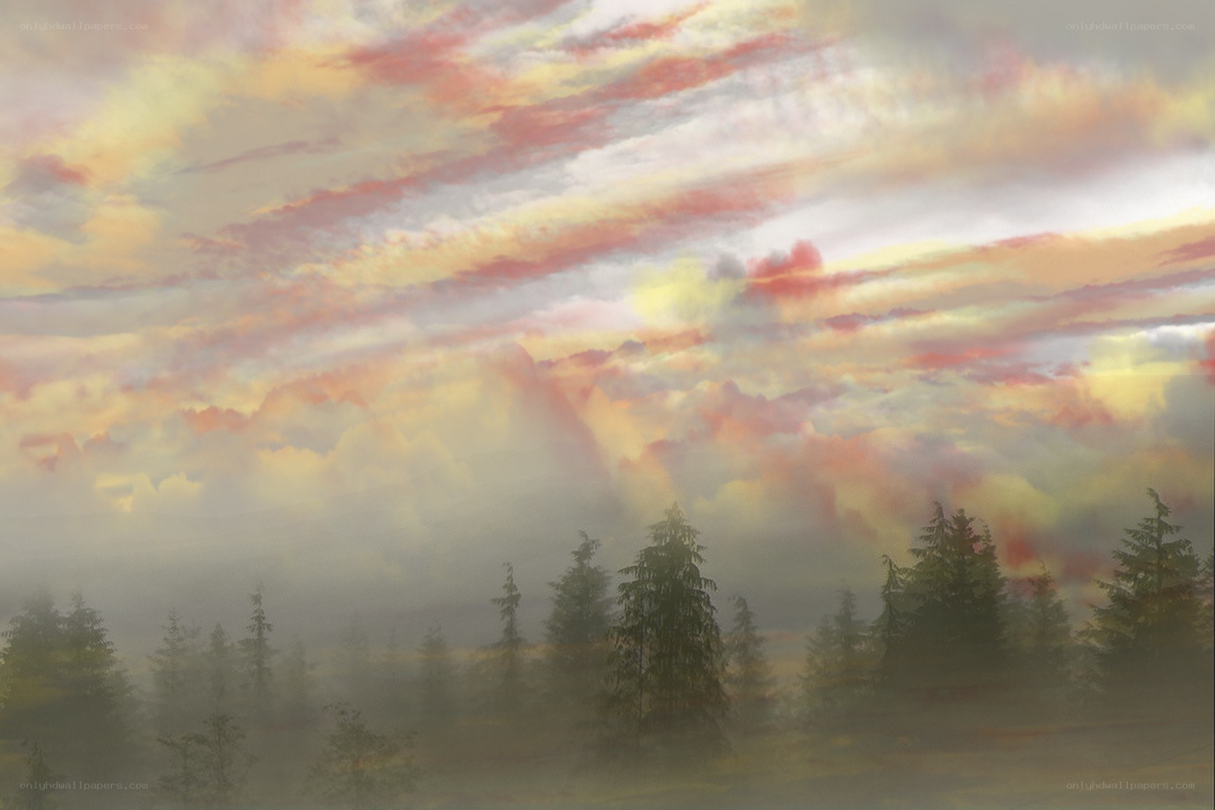Misty forest at sunset