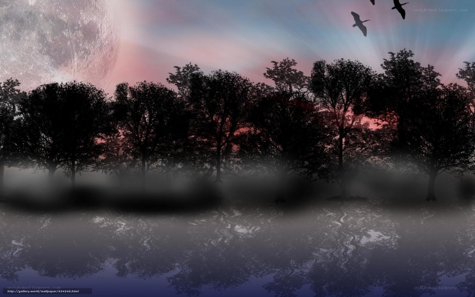 Misty forest at twilight