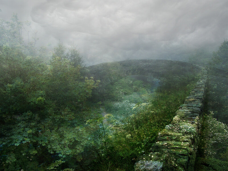 Misty forest bridge