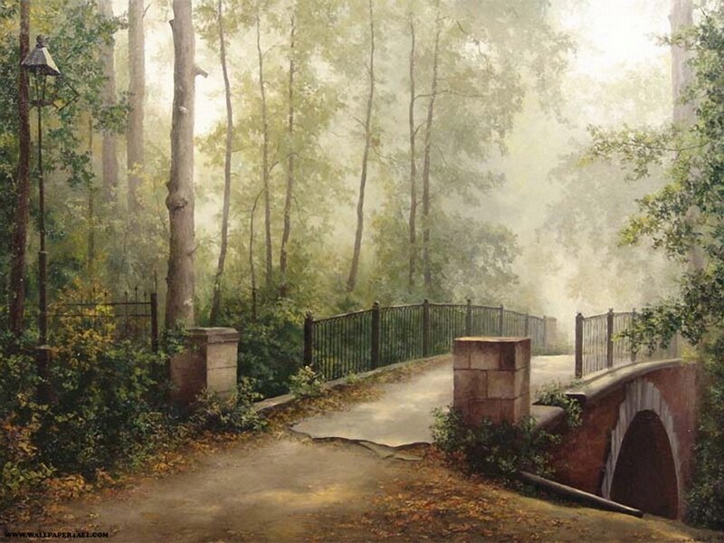 Misty forest bridge scene