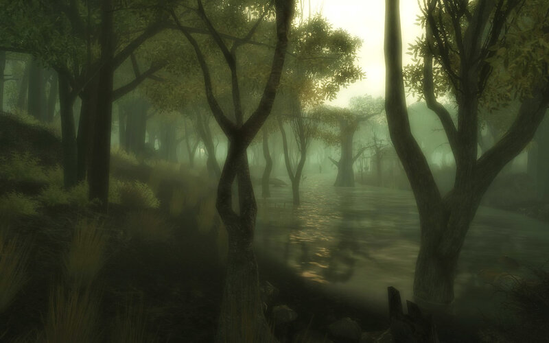 Misty forest by a river