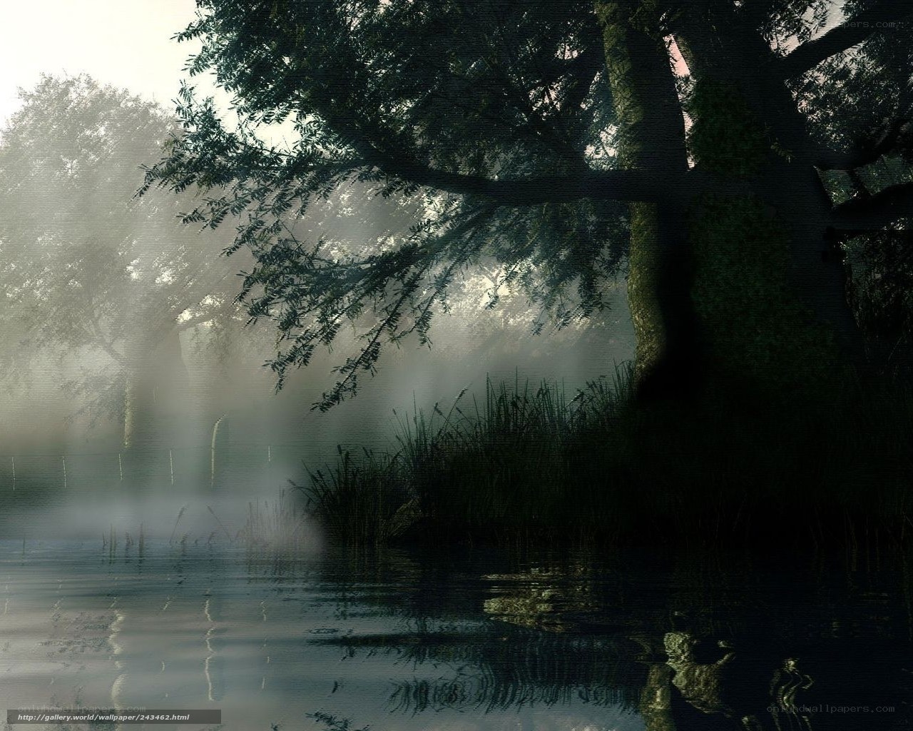 Misty forest by the lake