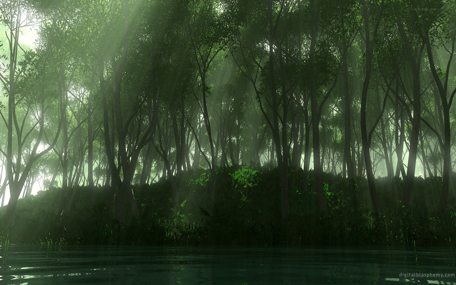 Misty forest by the water