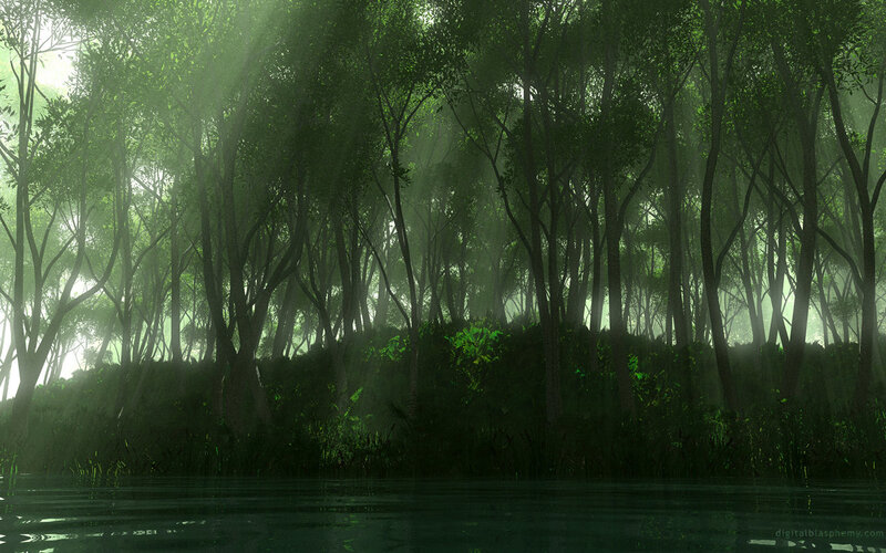 Misty forest by the water
