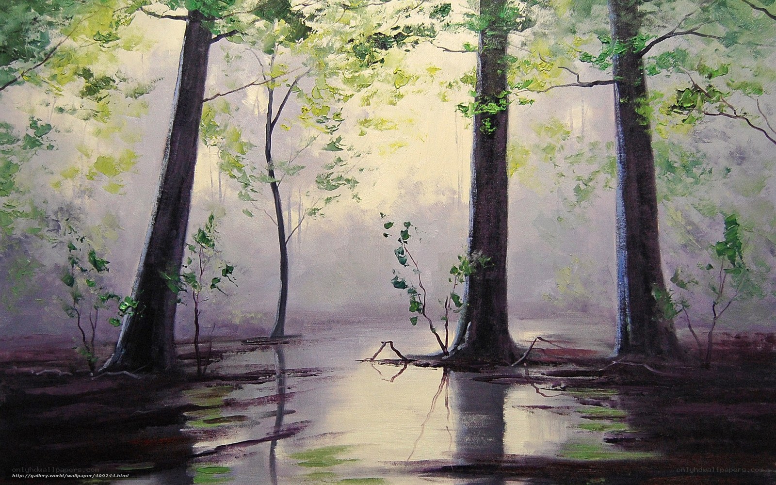 Misty forest by the water