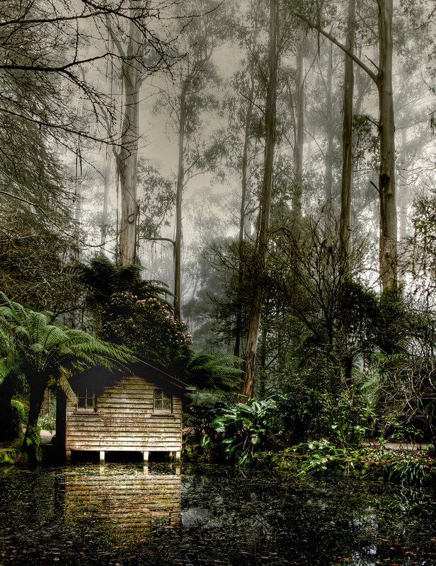 Misty forest cabin