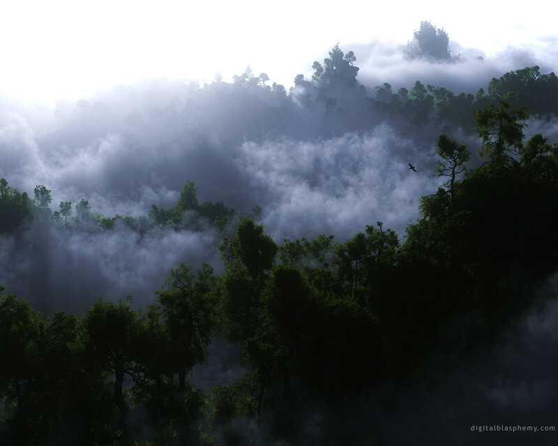Misty Forest Canopy — Green