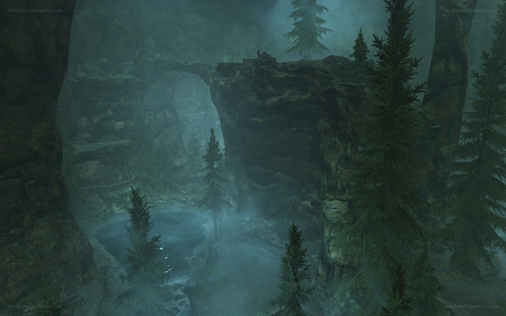 misty forest canyon scene