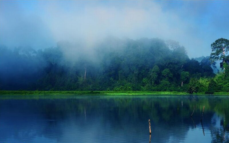 Misty forest lake at dawn