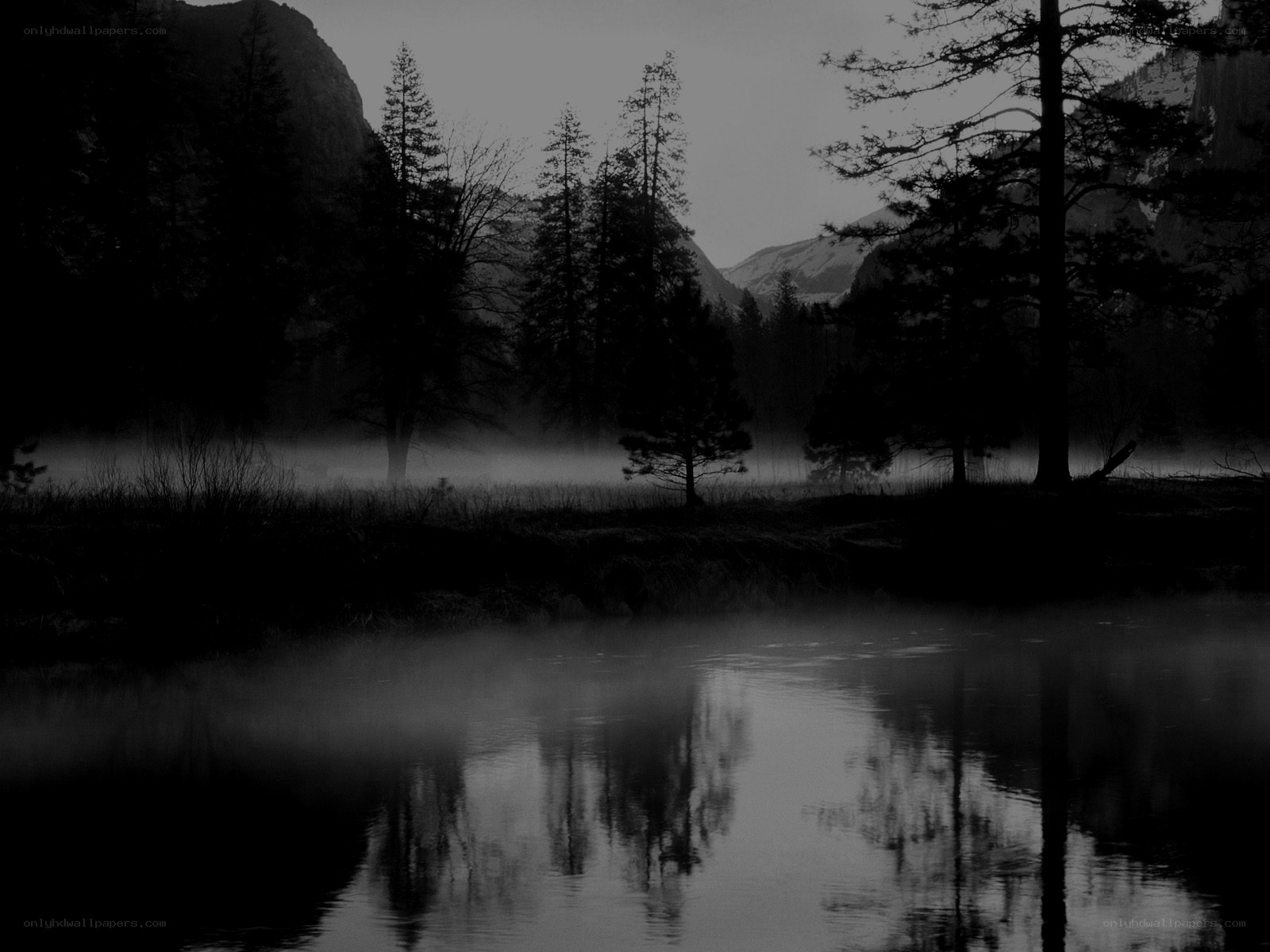 Misty forest lake at dawn
