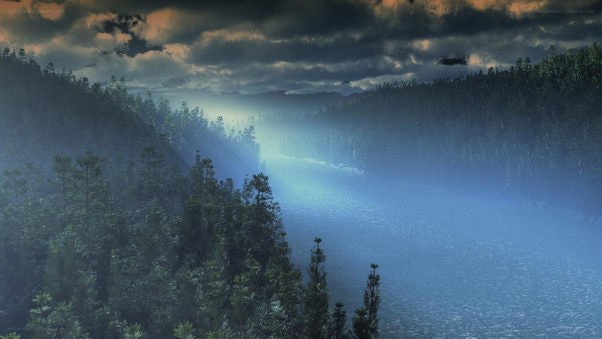 misty forest lake at dusk
