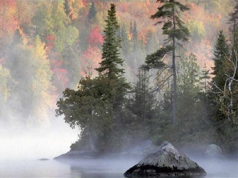 Misty forest lake in autumn