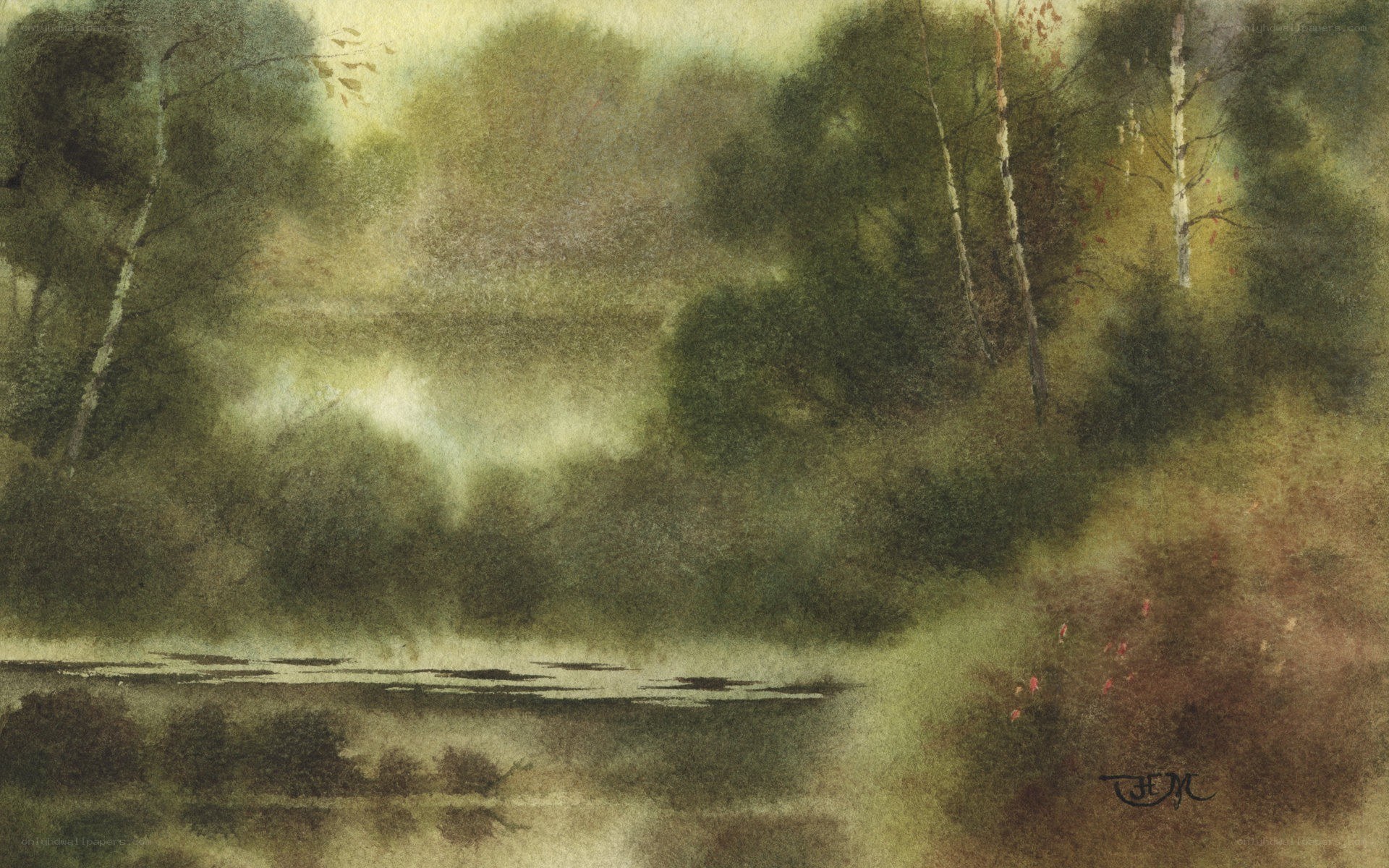 Misty forest lake scene