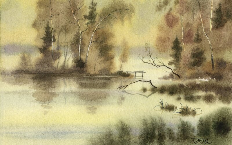 Misty forest lake scene