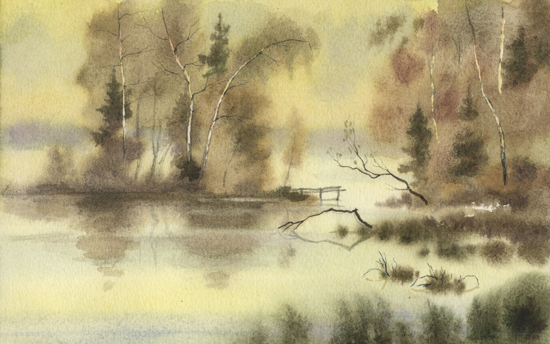 Misty forest lake scene