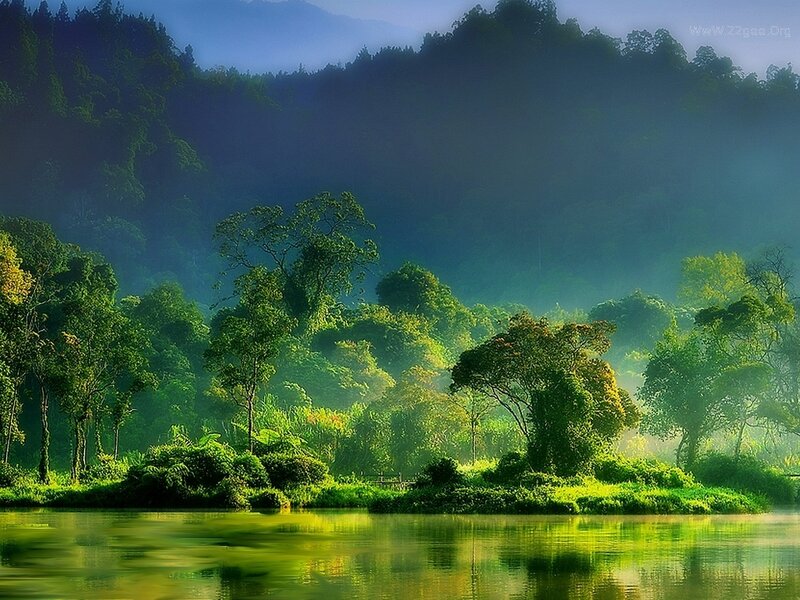 Misty Forest Lake