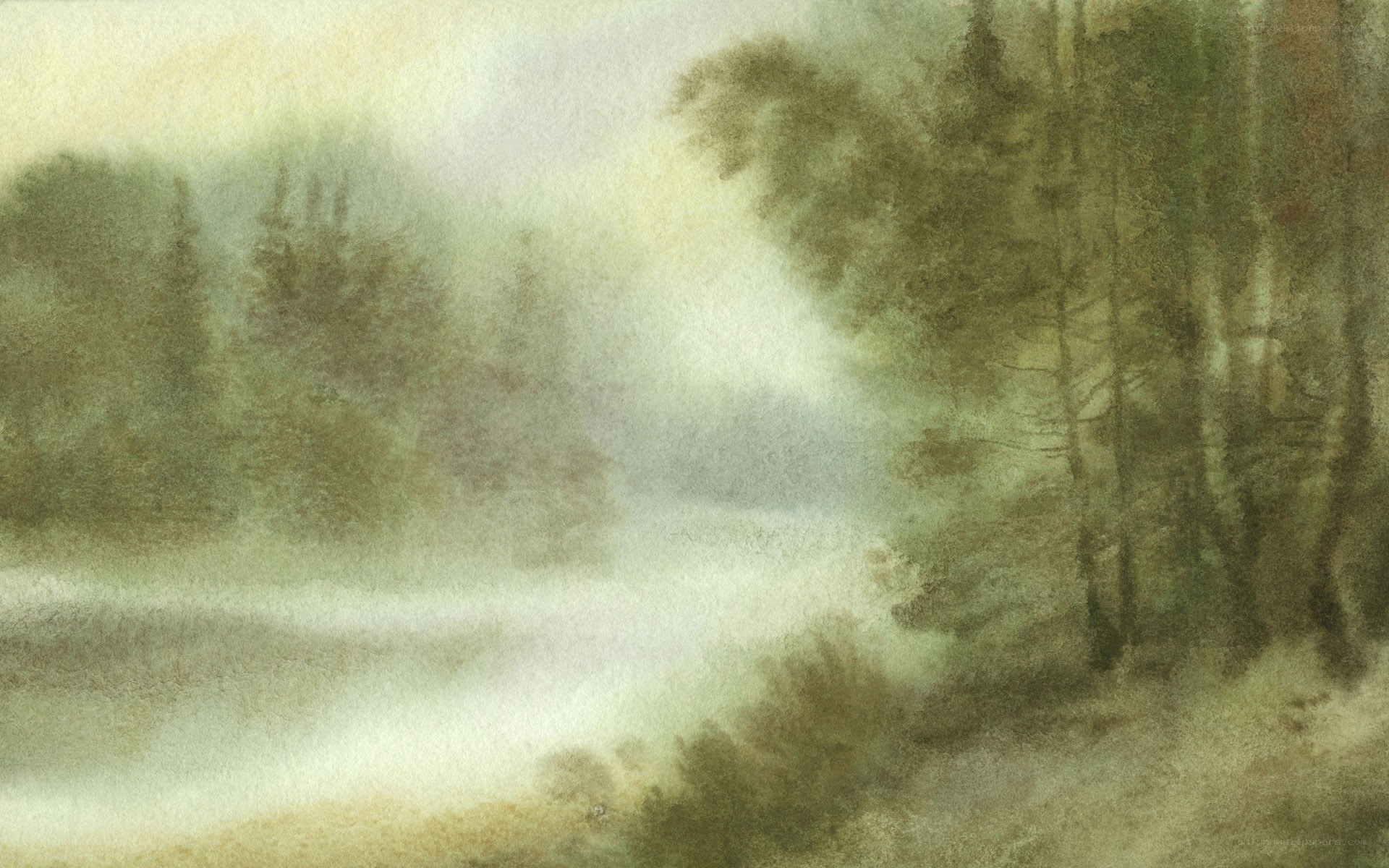 Misty forest landscape