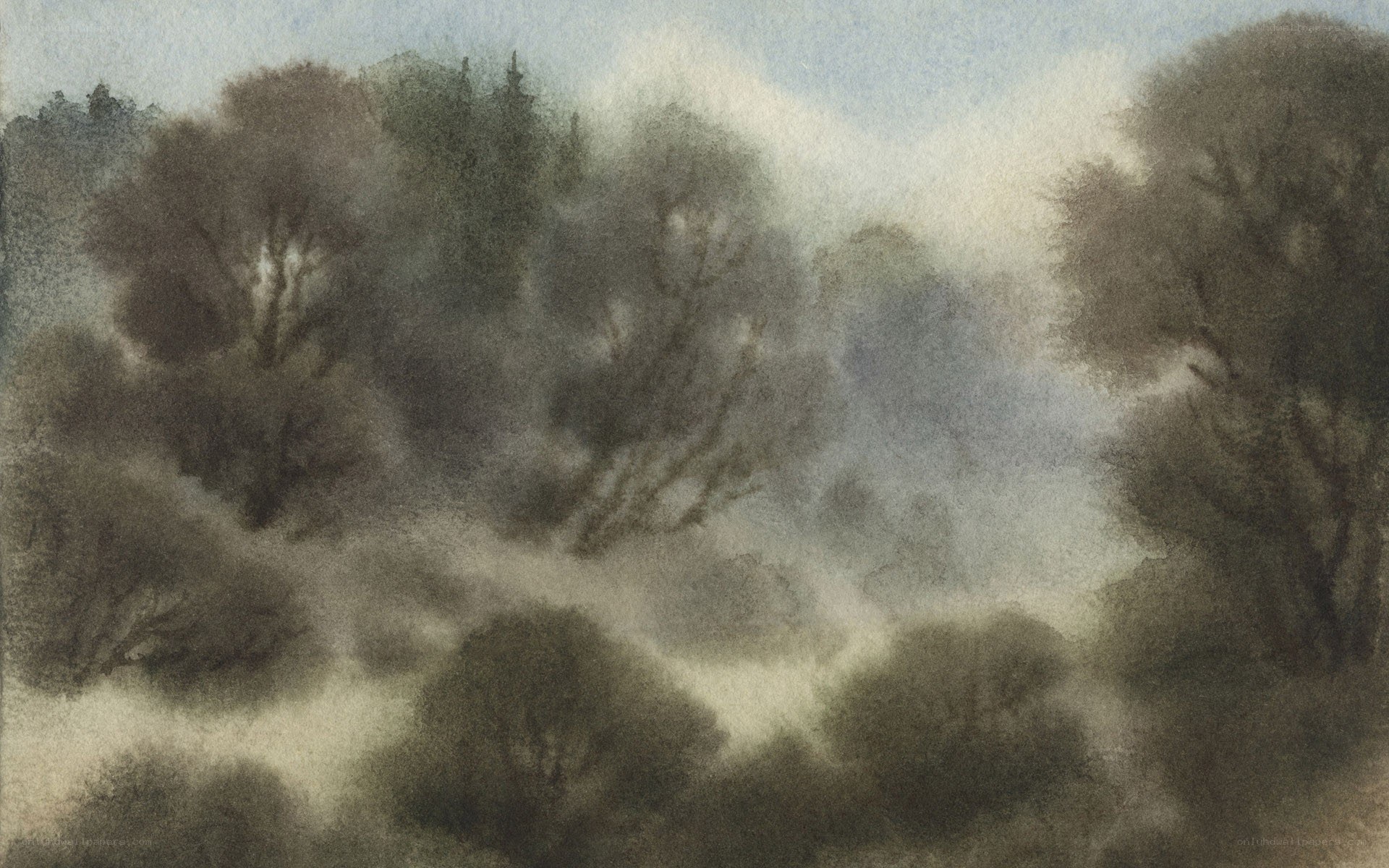 Misty forest landscape