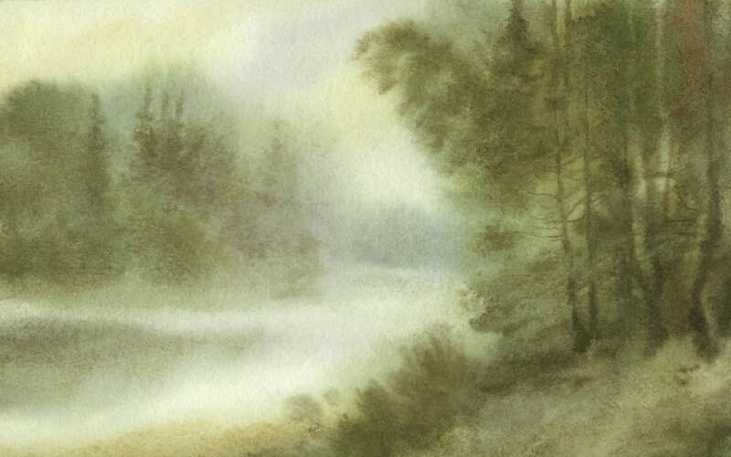 Misty forest landscape
